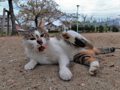 タイトルが考え付かないかっこう