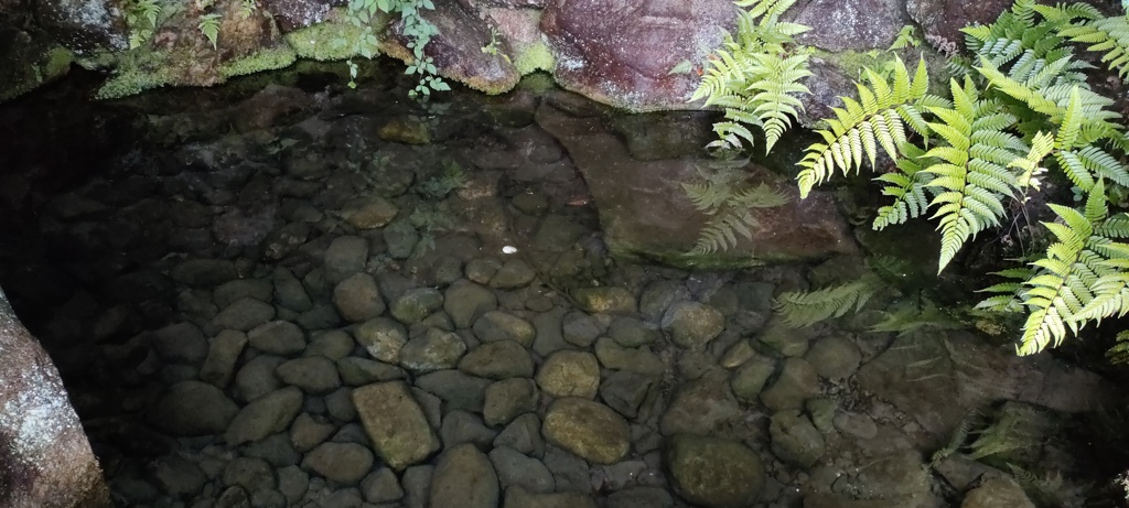 幸清水
