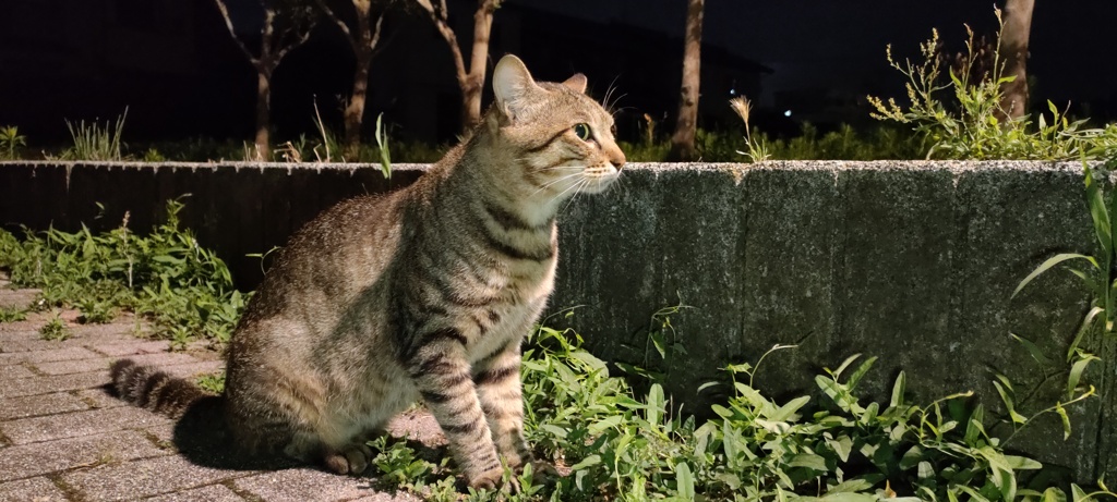 視線の先に