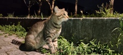 視線の先に