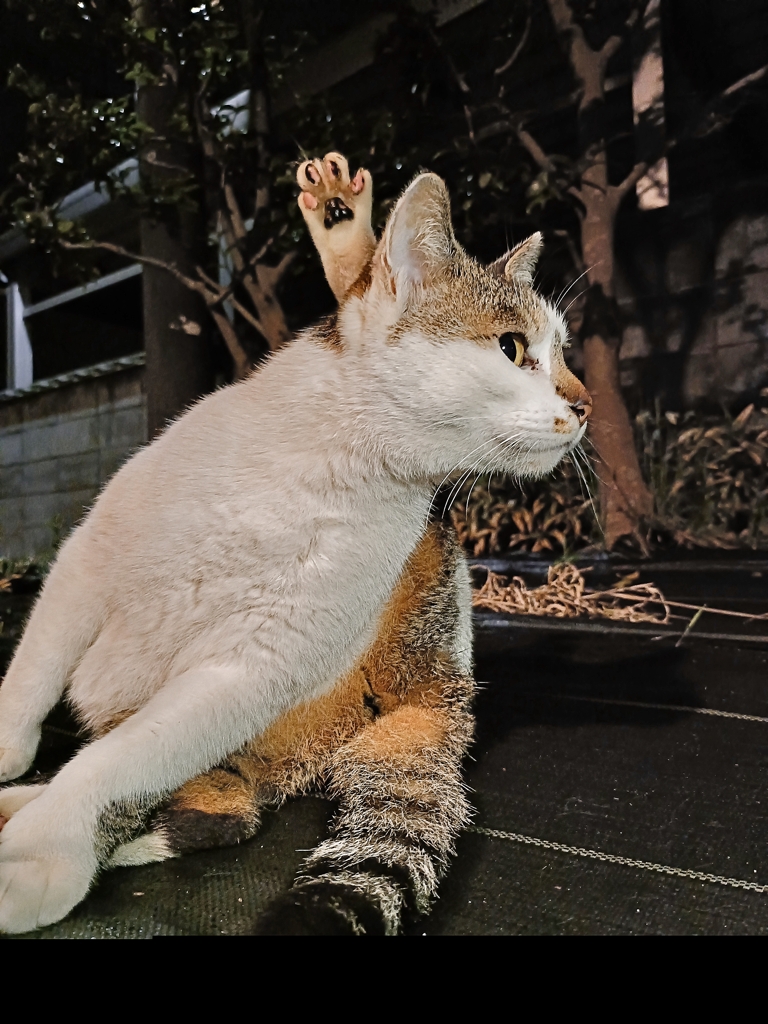 じゃんけん、ぽん！！