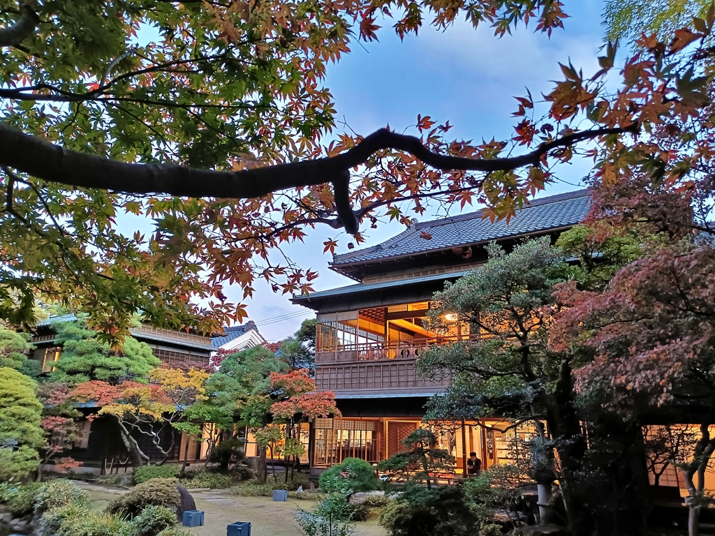 旧齋藤家別邸。庭園の秋と和装建築