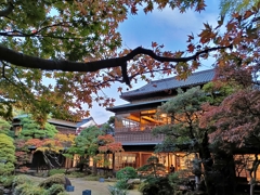 旧齋藤家別邸。庭園の秋と和装建築