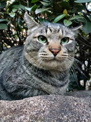 日曜はマッタリと