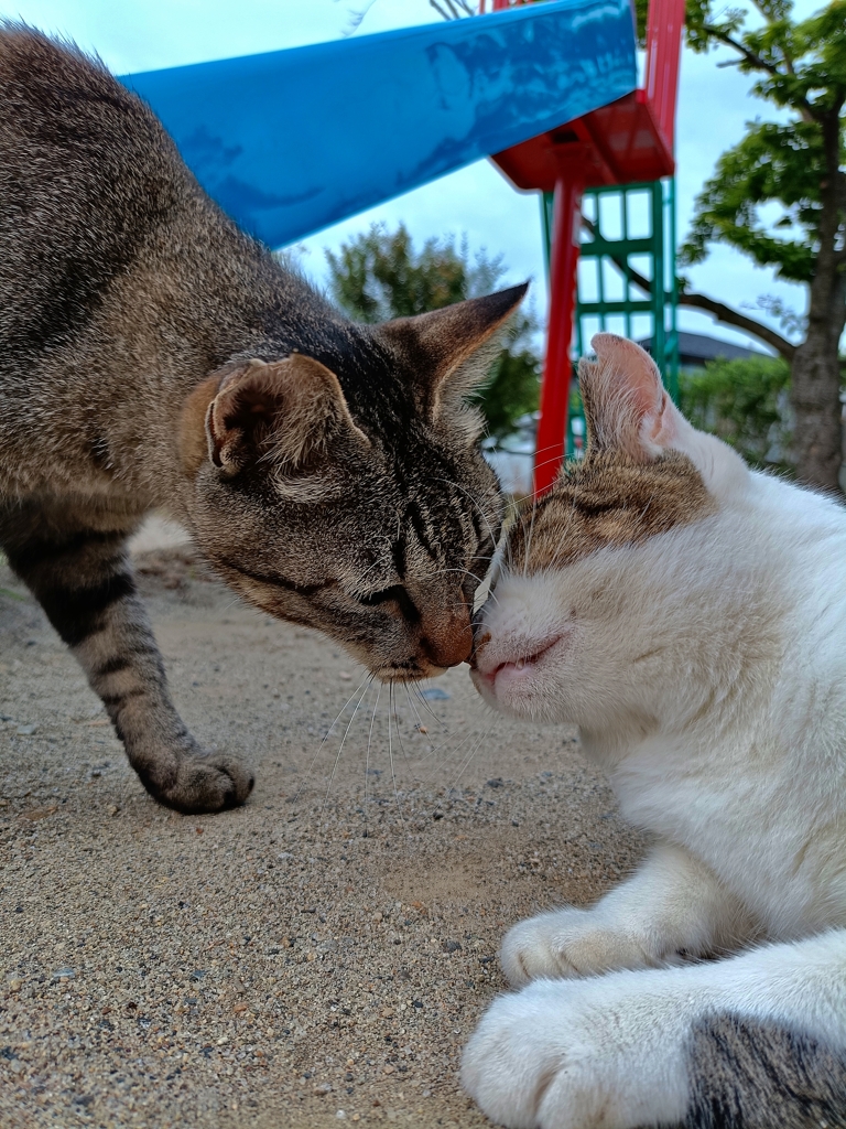 マイ・ハート・ウィル・ゴー・オン