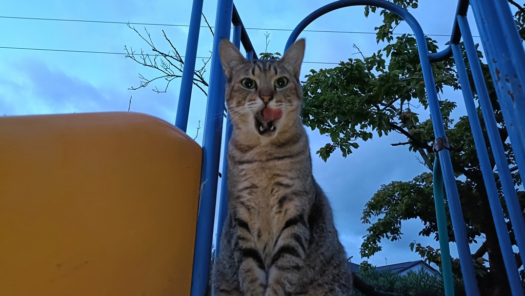た、高っ！！！