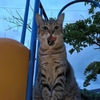 た、高っ！！！