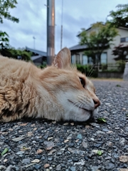 ・・・・今日、何曜日だっけ？