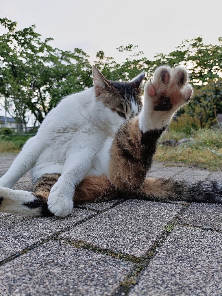 その振り込み待った！！