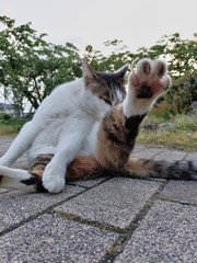 その振り込み待った！！