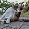 その振り込み待った！！