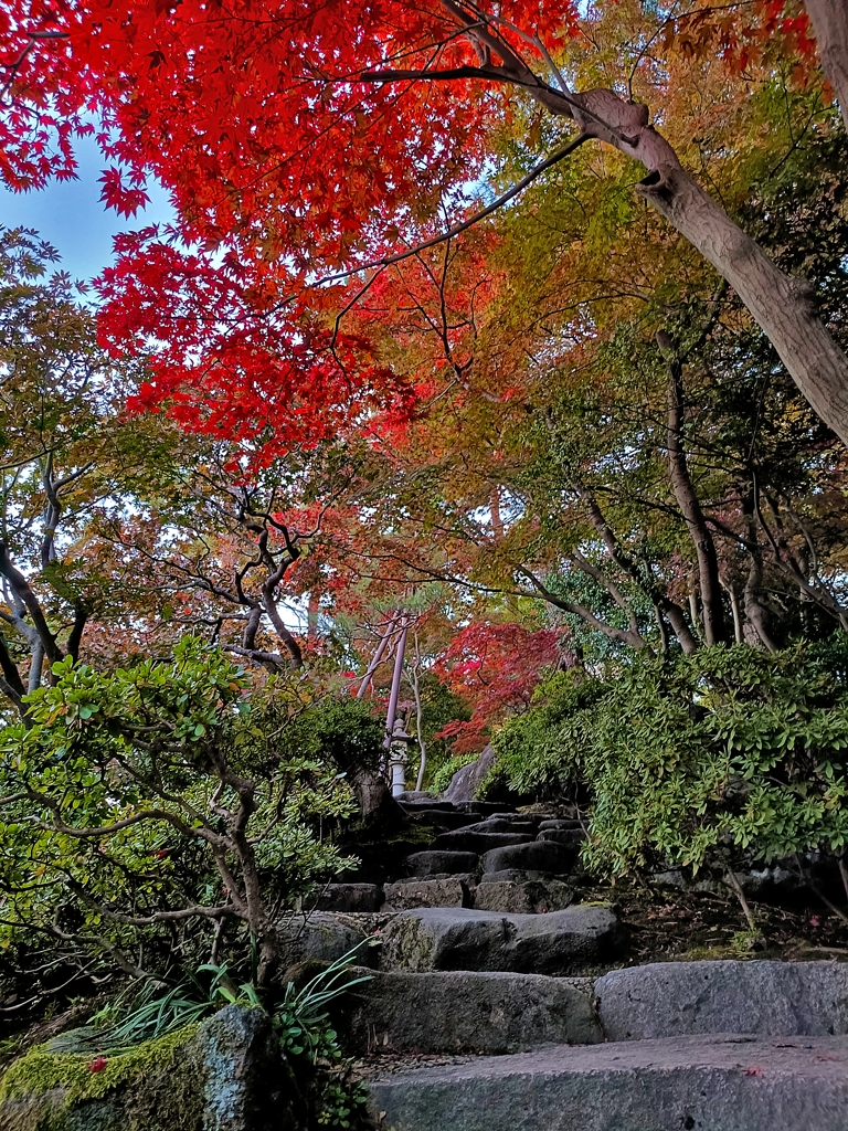 旧齋藤家別邸。登る秋
