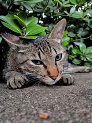 ユーはどうして、そんな処に？