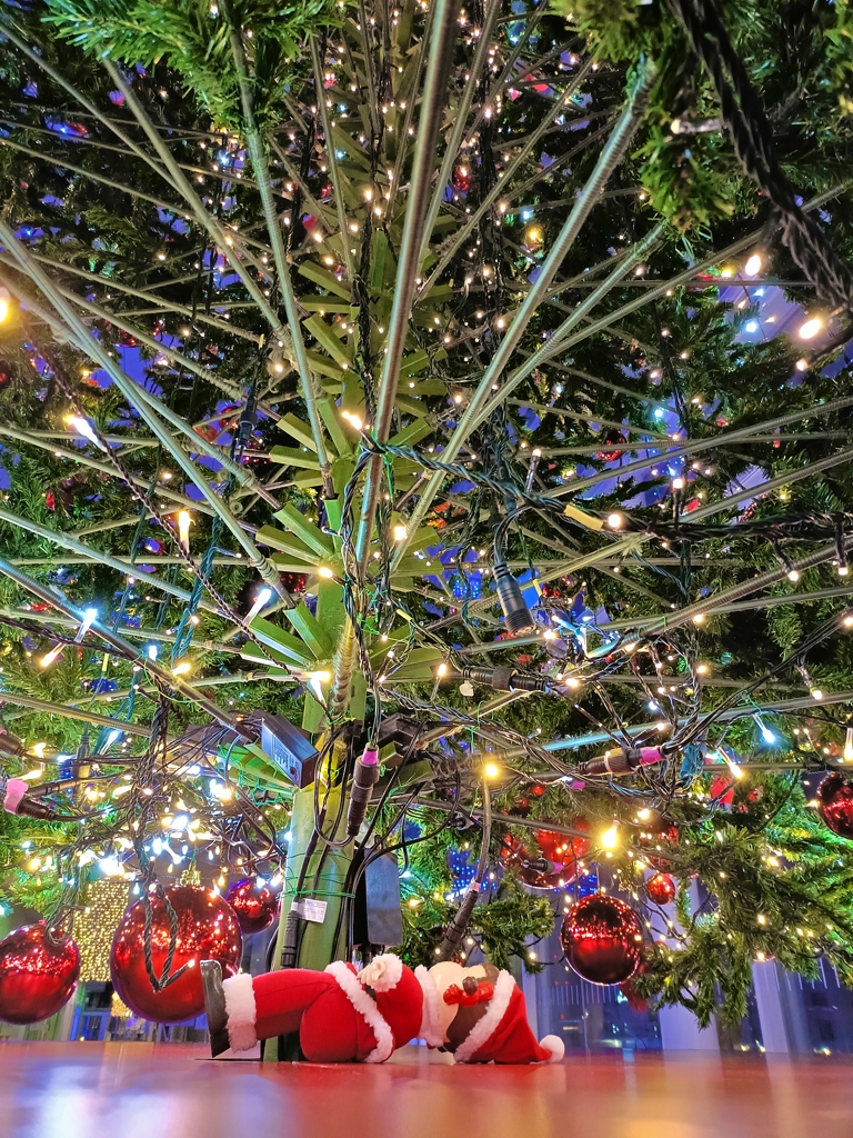 新潟のクリスマス。美しいクリスマスツリーの下には・・・・。