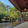 旧齋藤家別邸・1階からの景観