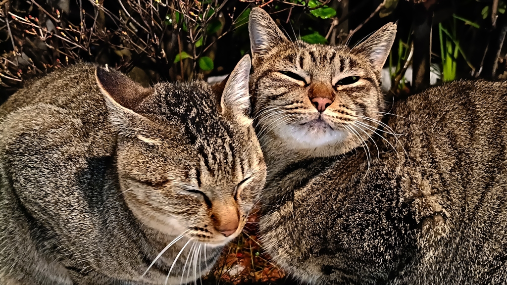 温い。