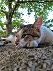 ぼーーーーーーーーーっ