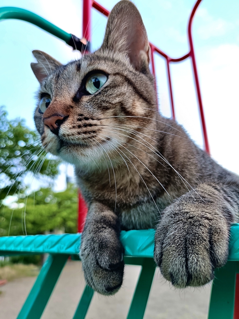 スベリ台から見る景色？