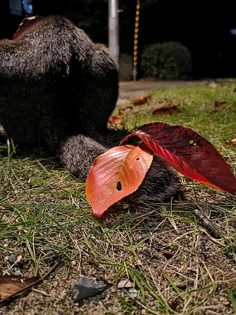 しっぽの先の秋