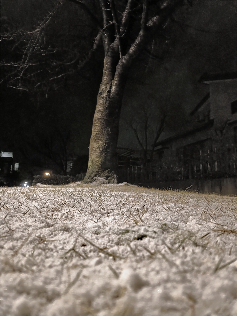 出禁・冬将軍。