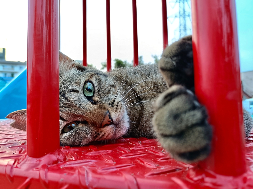 プリズン・スベリ台