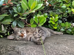 あ〜。はいはい。後で。