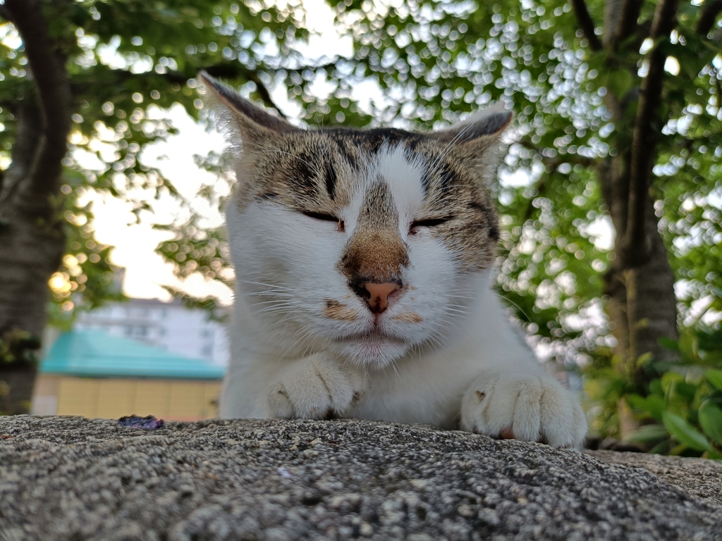 今日は・・・・土曜。日曜か。