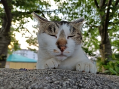 今日は・・・・土曜。日曜か。
