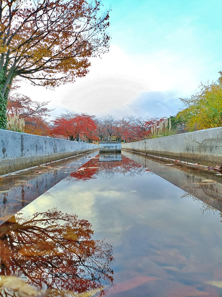 新潟の秋。水路