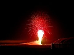 残暑を払う空のコキア