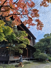 旧齋藤家別邸・秋先取り