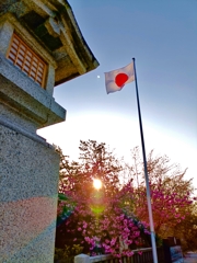 太陽×2