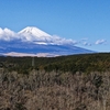 富士山（2024）