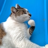 イノベーション