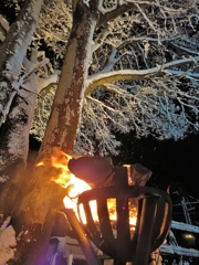 新潟の年末年始。雪国