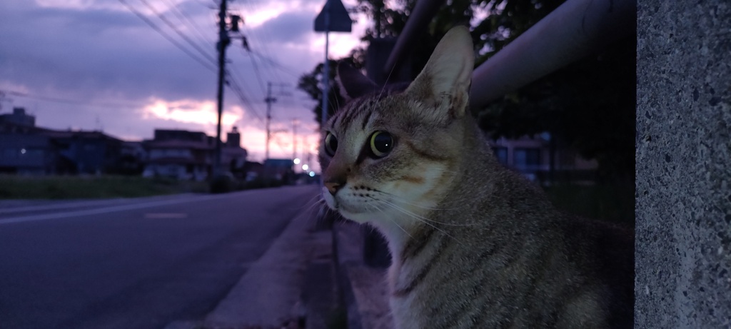 心奪われる朝日を共に