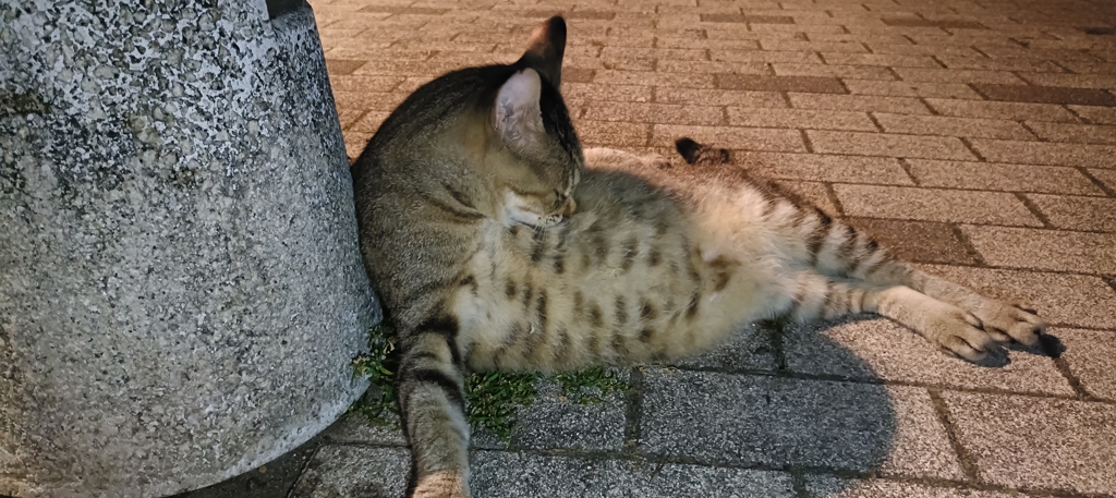 泥酔オヤジ（偏見）