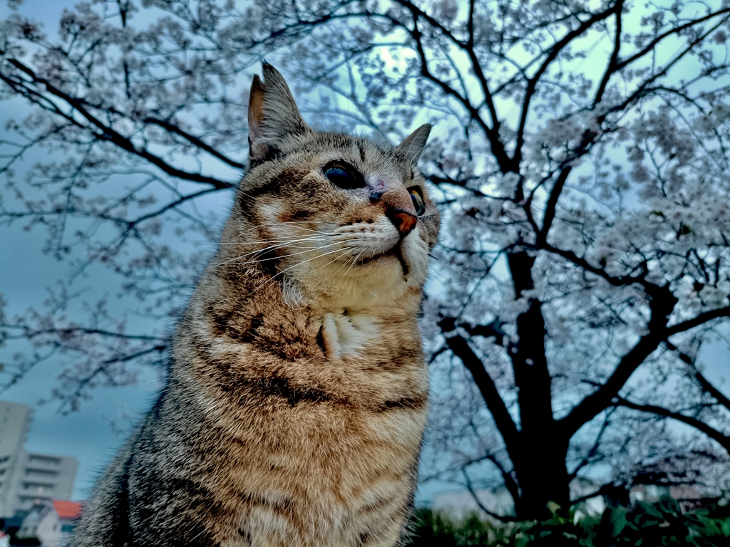 お久しぶり