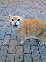 おはよ〜