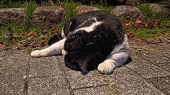 つ。疲れた。