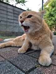 ここは、私の領土！！