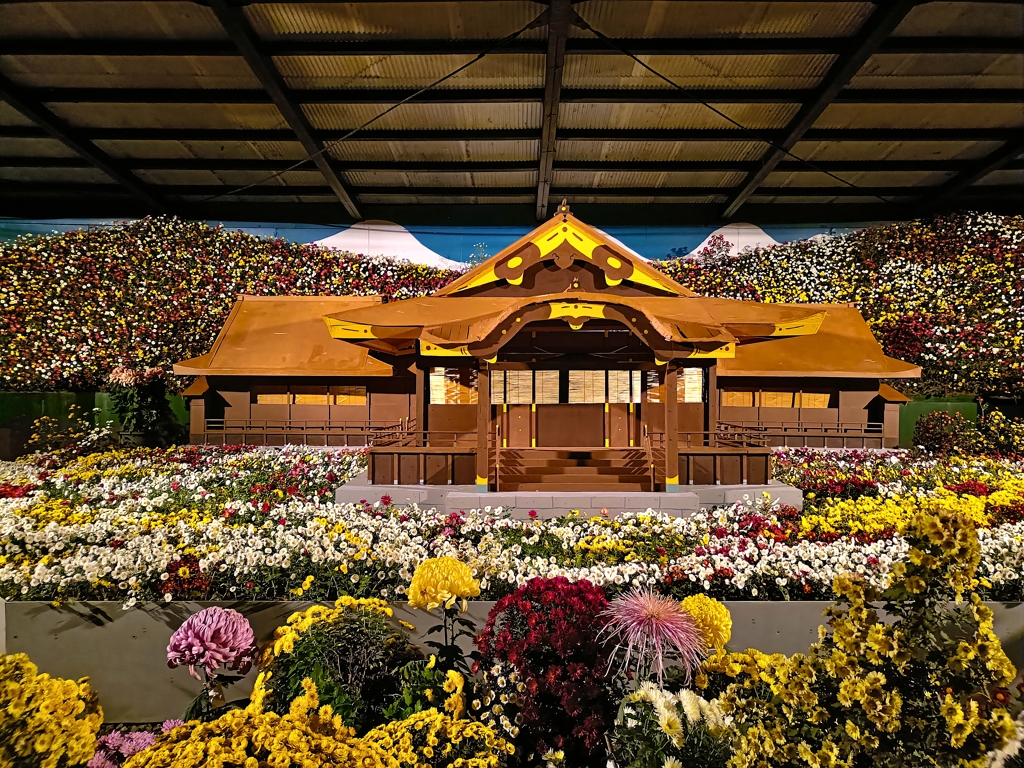 弥彦神社・菊まつり。弥彦神社
