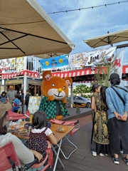 タヌキの呼吸