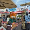 タヌキの呼吸
