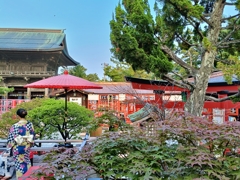 古都・京都・・・・（大嘘）