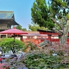 古都・京都・・・・（大嘘）