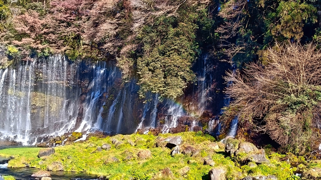 白糸の滝④
