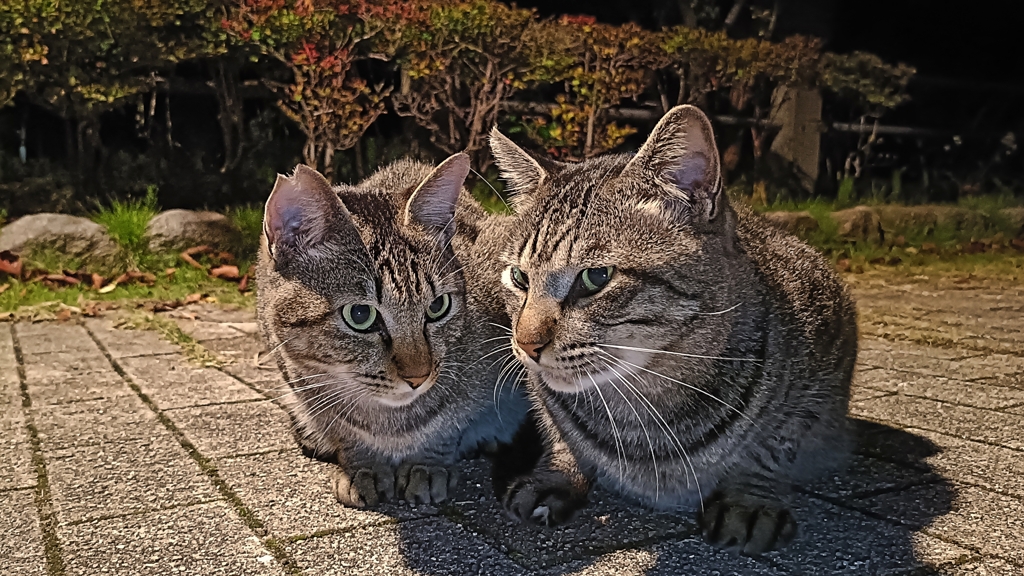 ひそひそ