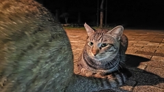 ケツ、綺麗だなコイツ。