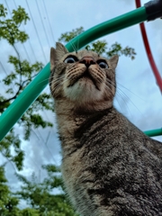 スベリ台キング